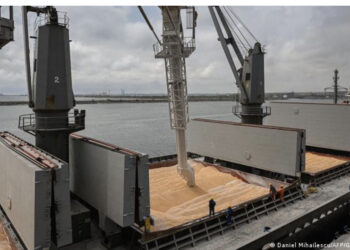 Si përcaktohet çmimi i grurit?