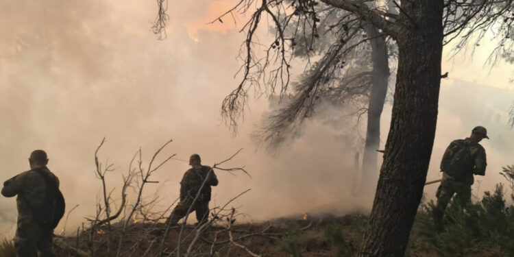 Sazani “përpihet” nga flakët, dëgjohen shpërthime në zonë, pse nuk ndërhyhet nga ajri?