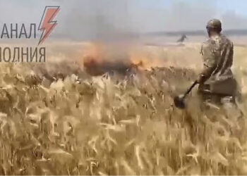 VIDEO/ Beteja për bukën: Rusët djegin arat me grurë, ushtarët ukrainas shuajnë flakët