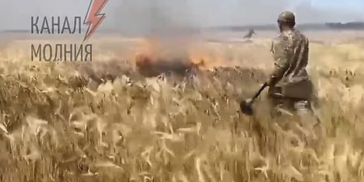 VIDEO/ Beteja për bukën: Rusët djegin arat me grurë, ushtarët ukrainas shuajnë flakët