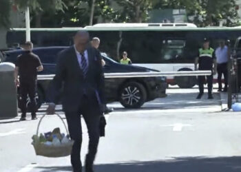 FOTO/ Vaj, vezë, qumësht, deputeti i PD shkon në Kuvend me shportën me ushqime