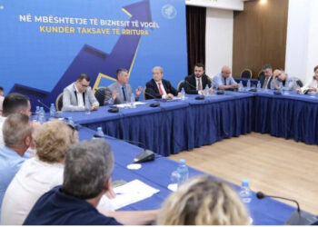 Berisha-Biznesit: Të organizojmë së bashku rezistencën kundër regjimit