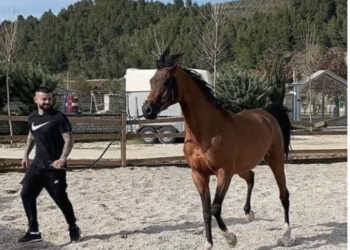 Detaje të reja për vrasjen e Aleksandër Sadikaj, jeta e tij mes Tiranës, Memaliajt dhe Greqisë