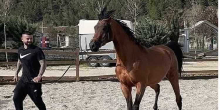 Detaje të reja për vrasjen e Aleksandër Sadikaj, jeta e tij mes Tiranës, Memaliajt dhe Greqisë