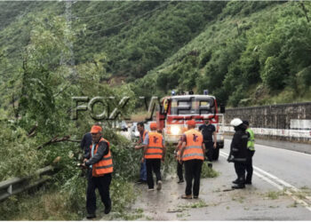 Erërat e forta “shkulin” pemën nga vendi, bllokohet qarkullimi i mjeteve në aksin Elbasan-Qafë Thanë