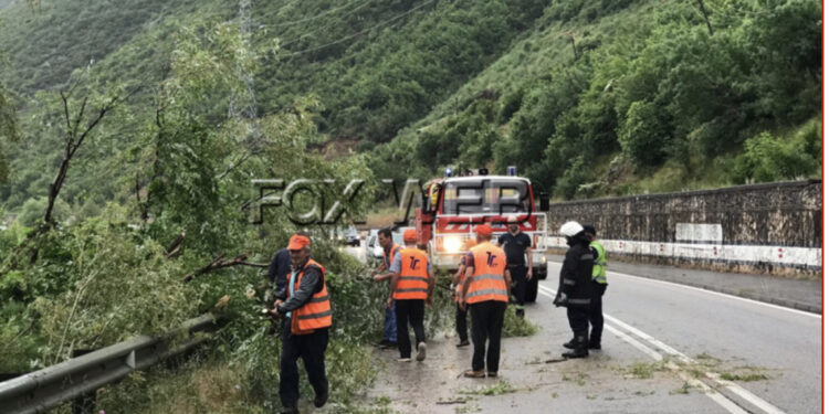 Erërat e forta “shkulin” pemën nga vendi, bllokohet qarkullimi i mjeteve në aksin Elbasan-Qafë Thanë