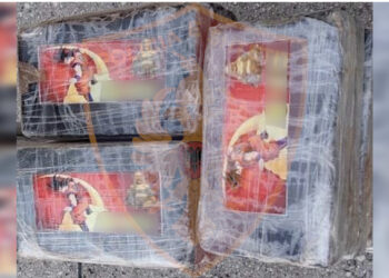 Braktisen bananet? Nga qymyri tek mishi i pulës, si po trafikohet kokaina nga Amerika Latine në Durrës