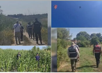 Kultivimi i kanabisit, kontrolle të imtësishme në Fier, angazhohen 100 policë, në dispozicion 3 dronë, gjenden disa fidanë kanabis në fshatin Martinë