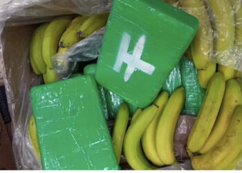 Trafikantët marrin bananet e gabuara, 840 kg “e bardhë” përfundon në supermarketet çeke