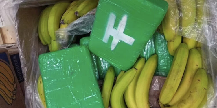 Trafikantët marrin bananet e gabuara, 840 kg “e bardhë” përfundon në supermarketet çeke