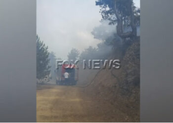 VIDEO/ Shkrumbohen rreth 1 hektarë pyje me pisha dhe kullota në Gramsh