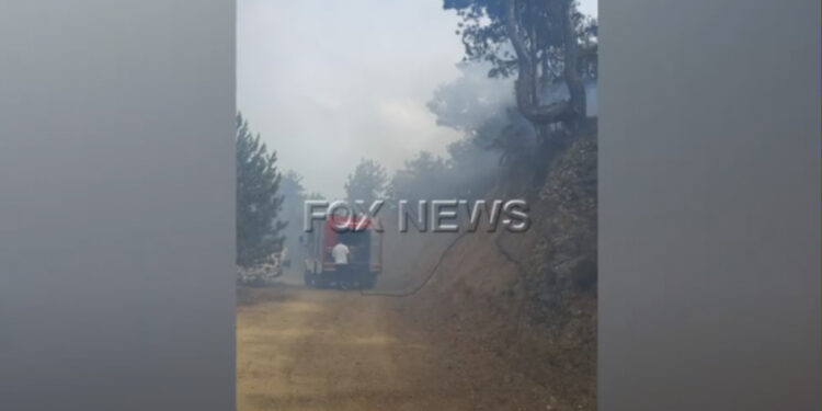 VIDEO/ Shkrumbohen rreth 1 hektarë pyje me pisha dhe kullota në Gramsh