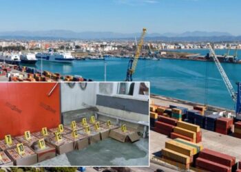 Droga në kontenierët me mishin e pulave në portin e Durrësit, gjykata lë në burg dy të arrestuarit