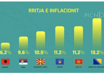 Kriza e çmimeve dhe qeveria që fshihet si struci