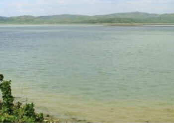 Gjendet një trup i pajetë në rezervuarin e Kolanecit në Maliq, dyshohet se i përket një 26-vjeçari të zhdukur disa ditë më parë