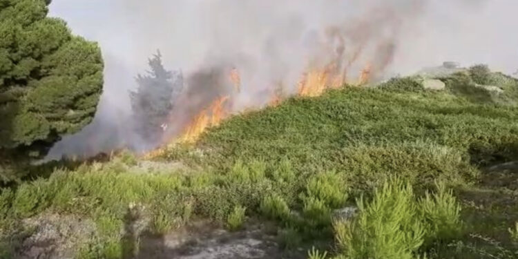 Zjarri në Sazan, Ministria e Mbrojtjes paralajmëron: Në zonë ka municione të pashpërthyera, paraqesin rrezik