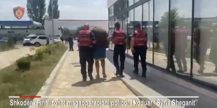 Dalin pamjet e arrestimit të autorëve të grabitjes së bankës, momenti kur polici nxjerr armën nga uji