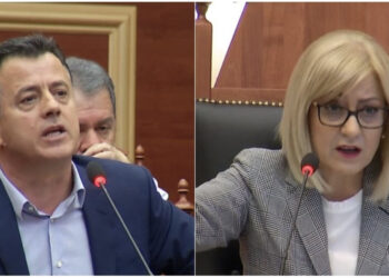 Sherr pa mikrofonë Noka-Nikolla në Kuvend, deputeti ngrihet në këmbë