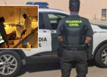 VIDEO/ Shtëpia po “shpërthente” nga “boçet e barit”, shqiptari kapet me 1800 rrënjë në Spanjë