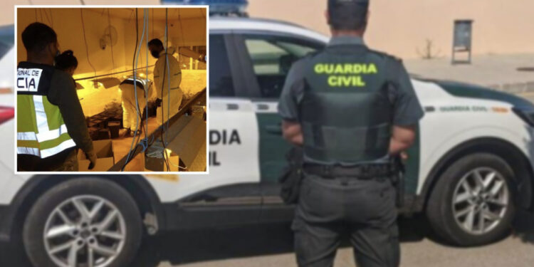 VIDEO/ Shtëpia po “shpërthente” nga “boçet e barit”, shqiptari kapet me 1800 rrënjë në Spanjë