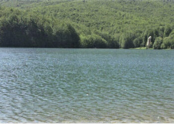 Dashuria e dyfishtë, si e vranë dhe hodhën në rezervuar tre autorët të riun në Maliq