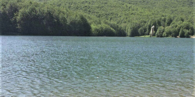 Dashuria e dyfishtë, si e vranë dhe hodhën në rezervuar tre autorët të riun në Maliq