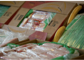 U fsheh mes bananeve dhe u shpërnda në supermarkete, policia çeke sekuestron 840 kg “të bardhë”, erdhi nga Kolumbia