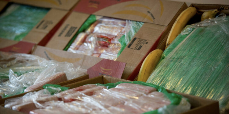 U fsheh mes bananeve dhe u shpërnda në supermarkete, policia çeke sekuestron 840 kg “të bardhë”, erdhi nga Kolumbia