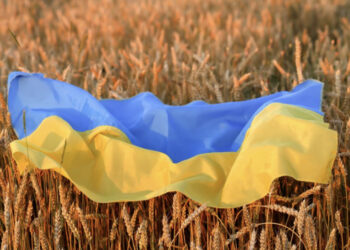 Bllokada e grurit, ende asnjë marrëveshje mes Ukrainës e Rusisë