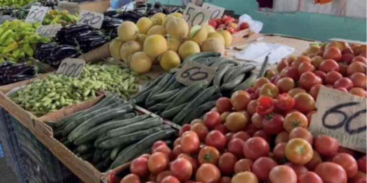 Largimet dhe varfëria mbulon Fierin, cmimet e tregut të uleta por nuk ka blerës