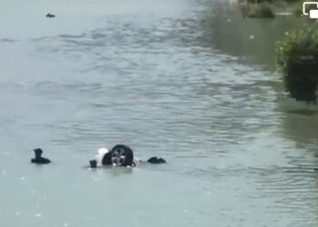 Automjeti humb kontrollin e bie në Osum, humbin jetën nëna dhe fëmija 6 vjeç