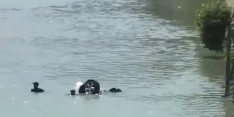 Automjeti humb kontrollin e bie në Osum, humbin jetën nëna dhe fëmija 6 vjeç