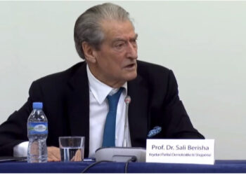 Berisha: Të bashkohemi për të rrëzuar regjimin, duhet të jemi një front