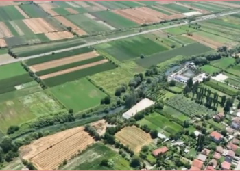 Zbulohet magazina e drogës në Lezhë, dy të arrestuar, një në kërkim, procedohet penalisht kryeplaku i fshatit