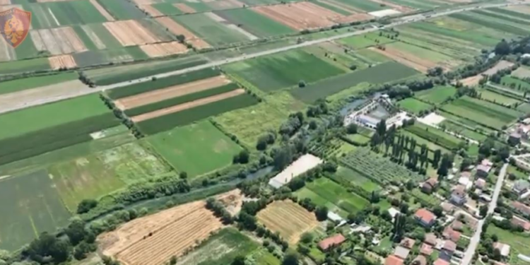 Zbulohet magazina e drogës në Lezhë, dy të arrestuar, një në kërkim, procedohet penalisht kryeplaku i fshatit