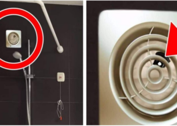 VIDEO/ Nëse shihni diçka të tillë në tualetin e hotelit, largohuni menjëherë