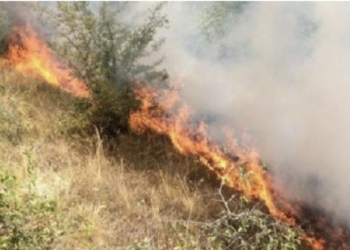 LAJM I FUNDIT/ Zjarr i madh në Tale të Lezhës, nisen drejt vendngjarjes dy zjarrfikëse 18 Qershor, 2022 18:00