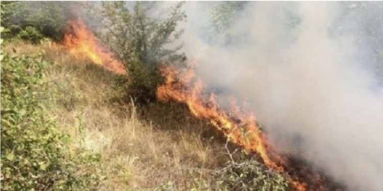 LAJM I FUNDIT/ Zjarr i madh në Tale të Lezhës, nisen drejt vendngjarjes dy zjarrfikëse 18 Qershor, 2022 18:00