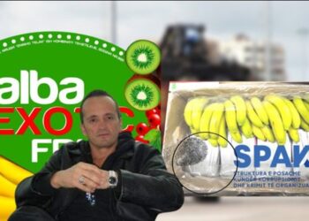 I është kapur 6 herë kokainë, kompania “Alba Exotic Fruit” do mbetet nën sekuestro, Gjykata e Lartë nuk pranon rekursin