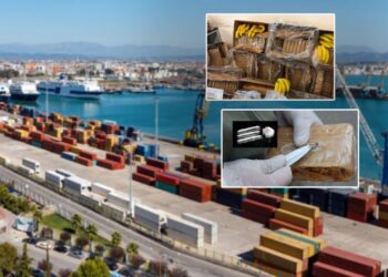 Dyshime për trafik kokaine, 20 të arrestuar në Durrës