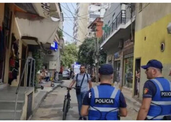 Krim në familje, vëllai vret vëllanë dhe kunatën, policia jep detajet