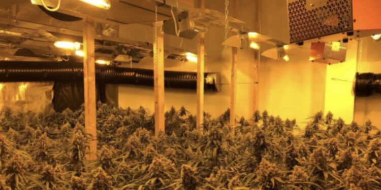 EMRAT/ Dy shqiptarët kapen në ‘shtëpi bari’ në Angli: U detyruam, trafikantët që na futën në Britani do na vrisnin