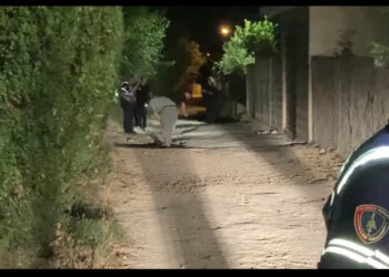 VIDEO/ Iku me vrap nga banesa e autorit mes plumbave: Zbulohet kush e plagosi Bejon në Kuçovë