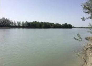 Gjendet një trup i dekompozuar në lumin Seman në Roskovec