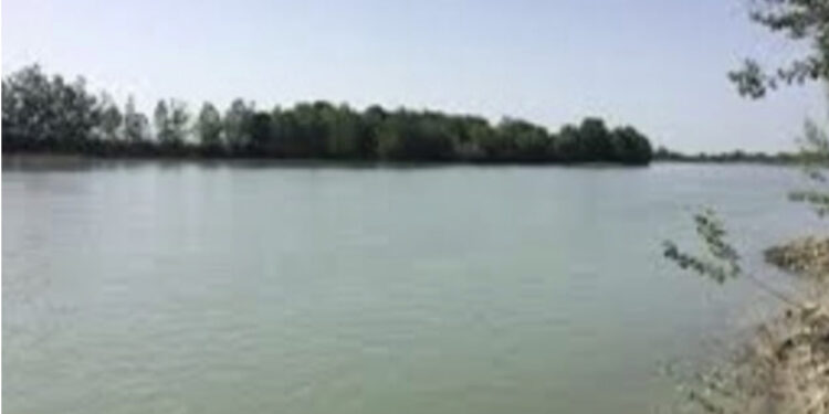 Gjendet një trup i dekompozuar në lumin Seman në Roskovec