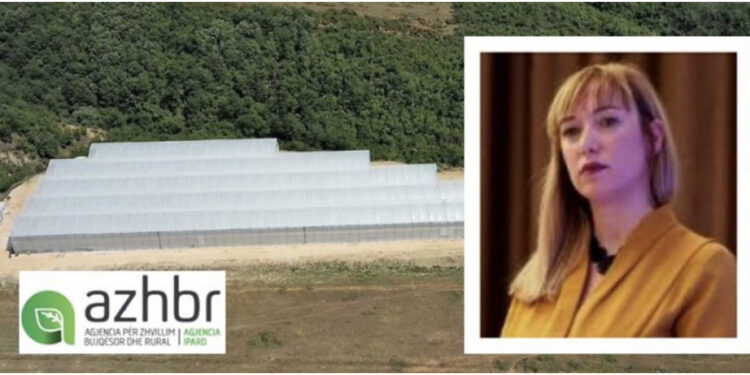 VIDEO/ Dhe një ministre në aferën e inceneratorëve/ Ku i çoi Frida Krifca fondet e BE