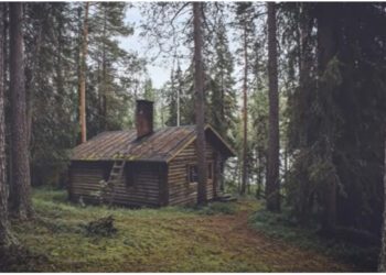 Iluzioni optik që vetëm 1 % e njerëzve mund ta zgjidhni. E gjeni dot ariun në foto?