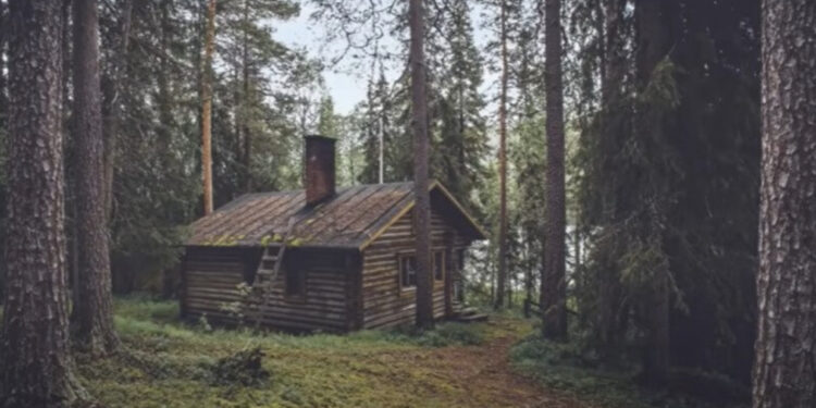 Iluzioni optik që vetëm 1 % e njerëzve mund ta zgjidhni. E gjeni dot ariun në foto?