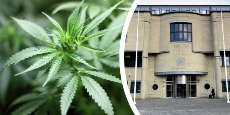 EMRI/ U fsheh pas bimëve të kanabisit kur pa Policinë, dënohet marangozi shqiptar në Angli