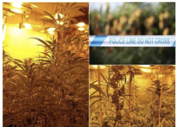 EMRI/ “Duhej të shlyeja 5,000 £ borxhe”, 29-vjeçari shqiptar kapet i fshehur në papafingon e shtëpisë së barit dhe dënohet me 20 muaj burg